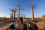 5 - Allée des baobabs